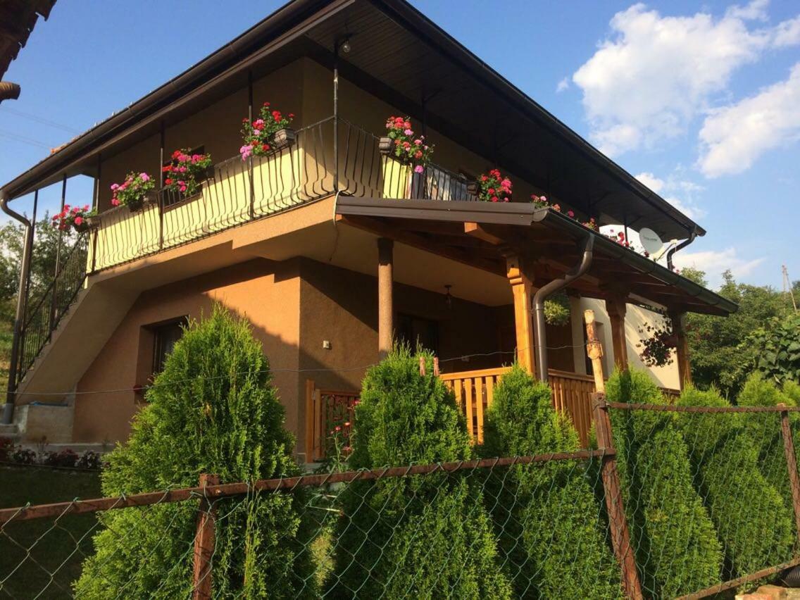Turizam Koturovic Bed & Breakfast Иваница Екстериор снимка