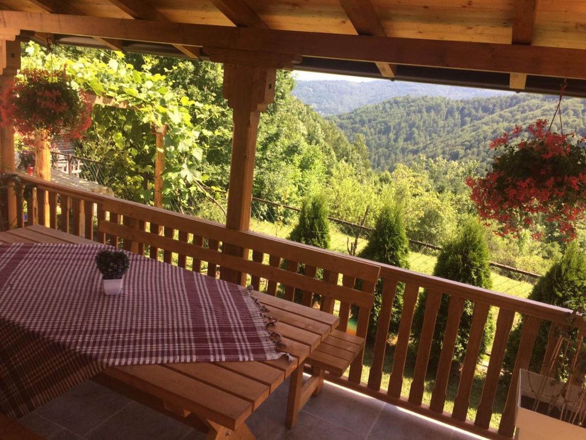 Turizam Koturovic Bed & Breakfast Иваница Екстериор снимка